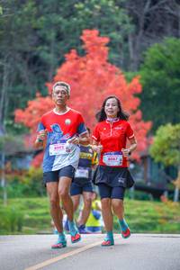 BIB: 8092, 8087
                            <button type="button" onclick="openModal(19239873)" class="btn btn-primary btn-sm float-right btn-popup" data-toggle="modal" data-target=".modal-high-quality">
                        <i class="fas fa-shopping-cart"></i> Add to Cart
                    </button>
                                            <button type="button" onclick="isThisMe(19239873, true)" class="btn btn-success btn-sm float-right btn-popup btn-isme hidden" data-toggle="tooltip" data-placement="bottom" title="นี่คือรูปของคุณใช่ไหม คลิกที่นี่เพื่อเอาเข้าอัลบั้ม">
                        <i class="fas fa-plus"></i> Add to album
                    </button>
                    <button type="button" onclick="isThisMe(19239873, false)" class="btn btn-warning btn-sm float-right btn-popup btn-isnotme hidden">
                        <i class="fas fa-ban"></i> Remove from album
                    </button>